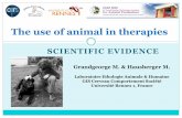 Strange Animal Situation - EAAPold.eaap.org/.../2010Crete/Papers/42_Grandgeorge.pdf · SCIENTIFIC EVIDENCE The use of animal in therapies Grandgeorge M. & Hausberger M. Laboratoire