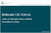 Molecular Life Science - uni-  · PDF fileAtom: The World's Smallest Movie IBM, ... Welche Struktur hat die Rinde? ... PowerPoint Presentation Author: Daniel
