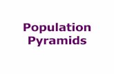 Population Pyramids - ??Population Pyramids Population Pyramids A graphical representation of the age and gender structure of a population. Consists of 2 horizontal bar diagrams