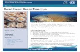 Coral Cores: Ocean Timelines, NOAA - Microsoft · PDF fileCoral Cores: Ocean Timelines Grade Level 6-12 . Timeframe . 45-60 Minutes . Materials Coral Core x ... Coral polyps are soft-bodied