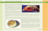Avian Influenza Media Kit Avian Influenza - Home | UNICEF · PDF fileAvian Influenza Media Kit Avian Influenza How the virus can spread to become a pandemic Source: bbc.co.uk How the