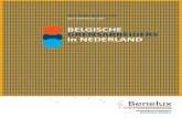 BELGISCHE GRENSARBEIDERS in NEDERLAND -  · PDF file5 A. BELANGRIJKSTE AANDACHTSPUNTEN BIJ HET WERKEN IN NEDERLAND 6 ormaliteiten bij het aanvaarden van werk in Nederland1. F