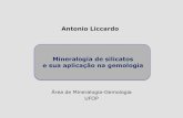Antonio Liccardo Mineralogia de silicatos e sua aplicação ...geoturismobrasil.com/Material didatico/03 - silicatos e gemologia.pdf · Mineralogia de silicatos e sua aplicação