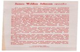 James Weldon Johnson speaks - · PDF fileJames Weldon Johnson speaks As a teacher, lawyer, newspaper publisher and editor, author, diplomat, and champion of human rights, James Weldon