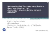 Anticipating Food Shortages using Satellite Data: examples ...sites.nationalacademies.org/cs/groups/pgasite/documents/webpage/... · Anticipating Food Shortages using Satellite Data: