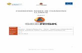 CHANGING RISKS IN CHANGING CLIMATE - Meteo  · PDF fileCHANGING RISKS IN CHANGING CLIMATE Report ... 4.1 Heat waves ... In the case of heat waves over the Danube Macro-region,