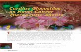Cardiac Glycosides as Novel Cancer ... - Nerium Biotechneriumbiotech.com/Journals/Cardiac Glycoside Review Final 2008.pdf · Cardiac Glycosides as Novel Cancer Therapeutic Agents