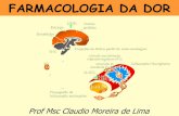 FARMACOLOGIA DA DOR -  · PDF fileFARMACOLOGIA DA DOR Prof Msc Claudio Moreira de Lima. FARMACOLOGIA DA DOR