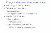 Fungi – General characteristics 1/MycologySlides.pdf · Fungi – General characteristics • Mycology – myco, myce • Eukaryotic, aerobic • Heterotrophic – Complex nutritional