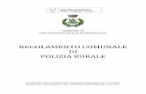 COMUNE di SAN GIORGIO DELLA · PDF file1 comune di san giorgio della richinvelda regolamento comunale di polizia rurale approvato nella seduta del consiglio comunale del 17.03.2015