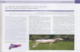 · PDF fileSociété d'Ethnozootechnie (Clermont-Ferrand), ppares@campus.uoc.es Departament de Ciència Animal i dels Aliments, Facultat de Veterinària,