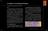 台灣殼斗科植物的多樣性 - tfri.gov.t 台灣殼斗科植物 ... 青剛櫟為中低海拔山區最常見的殼斗科植物 ...