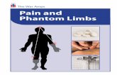 Pain and Phantom Limbs - The War · PDF filePain and Phantom Limbs • 1 Phantom Limb Pain – Why Do Amputees Experience It? Phantom limb pain has been around as long as there have