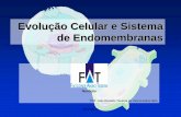 Evolução Celular e Sistema de Endomembranasjvasconcellos.com.br/fat/wp-content/uploads/2011/03/Aula-03.pdf · Atmosfera Terrestre Primitiva • Acumulo de compostos orgânicos 1.