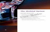 The Skeletal System - DelmarLearning.comdelgraphics.delmarlearning.com/rizz0e/pdf/ch07.pdf · The Skeletal System ... THE FUNCTIONS OF THE SKELETAL SYSTEM Th e skeleton has fi ve