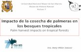 Impacto de la cosecha de palmeras en los bosques …200.37.9.27/DataArchivoCCL/horizonte2020/unmsm_impacto.pdfImpacto de la cosecha de palmeras en los bosques tropicales Palm harvest
