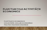 FLUCTUAŢIILE ACTIVITĂŢII ECONOMICE - Octavian JULAoctavianjula.ro/wp-content/uploads/2017/06/macro10-cicluri.pdf · creştere (expansiune -relansare şi boom) cu cele de descreştere
