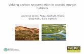 Valuing carbon sequestration in coastal margin habitats - ECSA · PDF fileLaurence Jones, Angus Garbutt, Nicola Beaumont, & co-workers Valuing carbon sequestration in coastal margin