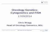 Oncology Genetics: Cytogenetics and FISH -  · PDF fileOncology Genetics: Cytogenetics and FISH 17/09/2014 ... bone marrow, solid tissue (lymph node, ... Tbc  Title