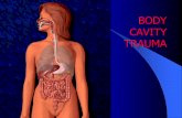 body cavity trauma - · PDF fileBasic Facts of Body Cavity Trauma zSecond most frequent cause of motor-vehicle death zInjuries can be anticipated by assessing direction of ... Genitalia
