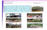 Newsletter Grade 5 - Pathways Schools · PDF fileNewsletter Grade 5 ... Abinitio Level: ... further created their own accounts on   and started exploring the basics of the