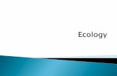 Define ecology. List the levels of ecological organization ...fallriverschools.org/JPacheco/Ecology - Biology.pdf · List the levels of ecological organization from largest to smallest.