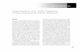 Amplification of a DNA Fragment Using Polymerase Chain ...AnalChp24.pdf · 385 EXPERIMENT 24 Amplification of a DNA Fragment Using Polymerase Chain Reaction Theory Polymerase chain