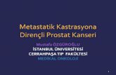 Metastatik Kastrasyona Dirençli Prostat Kanserikanser.org/saglik/upload/20.UKK/Metastatik_Kastrasyona_Direncli... · KDPK : Gerçekten androjenik etkiden bağımsız mı hareket