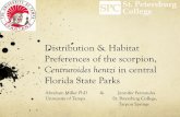 Distribution & Habitat Preferences of the scorpion,cetl.spcollege.edu/wp-content/uploads/2012/04/Hentzi-presentation... · the greatest arthropod biomass ... Centruroides hentzi from