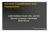 Aphasia Classification and Assessment - McGill Universityneurology.mcgill.ca/neurodocs/AHD Robilllard Shultz SLP lecture Apr... · Aphasia Classification and Assessment Judith Robillard