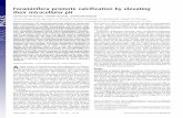 Foraminifera promote calcification by elevating their ... · PDF fileForaminifera promote calcification by elevating their intracellular pH Lennart Jan de Nooijer1, Takashi Toyofuku,
