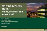 WHY DO MY LEGS HURT? Veins, arteries, and other stuff.health.usf.edu/nocms/villages/past_lectures/illig/Why do my legs... · WHY DO MY LEGS HURT? Veins, arteries, and other stuff.
