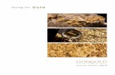 Going for Gold - listed companyliongoldcorp.listedcompany.com/misc/ar2012/ar2012.pdf · GOING FOR GOLD FY2012 has been a particularly eventful year for LionGold as we have effectively