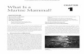 What Is a Marine Mammal?samples.jbpub.com/9780763783440/83440_CH01_Parsons.pdf · chAptEr 1: What Is a Marine Mammal? 3 Mammalian evolution The evolution of the mammals really begins