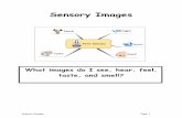 What images do I see, hear, feel, taste, and smell? - · PDF fileWhat images do I see, hear, feel, taste, and smell? Sensory Images Page: 1 . Unit of Study: ... • How did your sensory