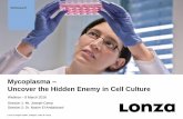 Lonza Webinar: Mycoplasma – Uncover the Hidden Enemy …bio.lonza.com/uploads/tx_mwaxmarketingmaterial/... · mycoplasma and other mollicutes ... are ineffective against ... Some