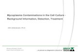 Mycoplasma Contaminations in the Cell Culture - · PDF fileMycoplasma Contaminations in the Cell Culture - Background Information, Detection, Treatment Dirk ... • Class of Mollicutes