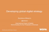 Developing global digital strategy - FairSayfairsay.com/.../developing-a-global-digital-strategy.pdf · Developing global digital strategy! ... • The level of flexibility that ONE