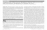 ORIGINAL ARTICLE ...diabetes.diabetesjournals.org/content/diabetes/60/11/2939.full.pdf · AngiotensinIIReceptorsModulateMuscleMicrovascular and Metabolic Responses to Insulin In Vivo