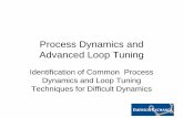 Process Dynamics and Advanced Loop Tuning Dynamics and Advanced Loop Tuning Identification of Common Process ... 7009 (DeltaV Operate Implem.) or 7010 (DeltaV Implem.), or equivalent