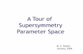 A Tour of Supersymmetry Parameter Spaceonline.kitp.ucsb.edu/online/collider-c04/peskin/pdf/Peskin.pdf · The questions to be answered are complex. But the answers are within reach.