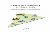 SURVEY OF HOUSEHOLD EXPENDITURES - European   EN SURVEY OF HOUSEHOLD ... order to calculate the average consumption structure of retired European Union ... OR average month