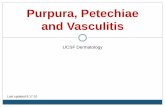 Purpura, Petechiae and Vasculitis - Home - Should I Tattooshoulditattoo.com/.../uploads/2013/04/Petechia-Purpura-Vasculitis.pdf · Purpura, Petechiae and Vasculitis UCSF Dermatology