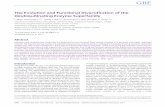 OP-GBEV170021 558..573 - XiaLabdambe.bio.uottawa.ca/publications/2017GBE.pdf · As an ex- treme example the ... (Branchiostoma ﬂoridae), sea squirt (Ciona intestinalis), and ...