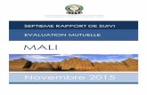 MALI - giaba.org FUR Mali - French.pdf · Financement du Terrorisme a été validé le 25 octobre 2012. ... des demandes d’informations reçues suivant le tableau ci- dessous ont