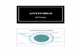 ANTIVIRUS - · PDF fileProfilaksis dan terapi (dalam 48 jam munculnya gejala) influenza A . 4. 5 Inhibitor Sintesis DNA & RNA Virus Asiklovir, famsiklovir, valasiklovir, gansiklovir,