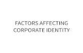 Corporate Identity – Factors Affecting Corporate Identity ... · PDF filePEPSI In 2013, during the football World Cup, Pepsi’s Swedish posted several ads featuring a voodoo doll