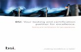 BSI: Your testing and certification partner for . · PDF fileIntroduction At BSI we have a full range of testing and certification services to enable you to bring your products to