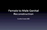 Female to Male Genital Reconstruction - SMSNA - · PDF fileFemale to Male Genital Reconstruction Curtis Crane MD. Introduction ... Urethral Strictures and Fistulas after Phalloplasty