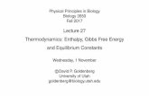 Lecture 27 Thermodynamics: Enthalpy, Gibbs Free Energy …courses.biology.utah.edu/goldenberg/biol3550/lectMaterial/slides/... · Lecture 27 Thermodynamics: Enthalpy, Gibbs Free Energy